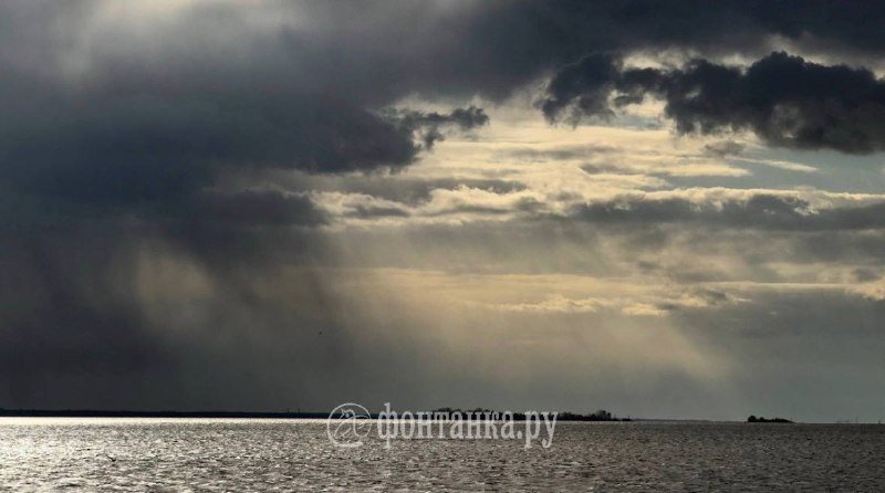 Иллюстрация 3