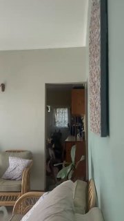 В Африке бабуин украл банан из дома и комично убежал от хозяйки