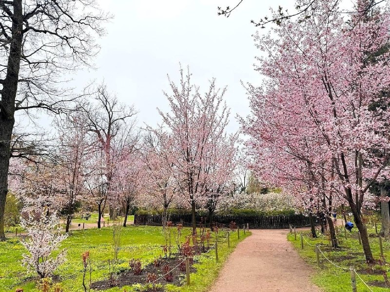 Иллюстрация 2