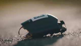 НАТО закупает тараканов-киборгов с ИИ — насекомые могут нести камеры, микрофоны и радары