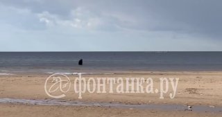 На Финском заливе заметили дементора