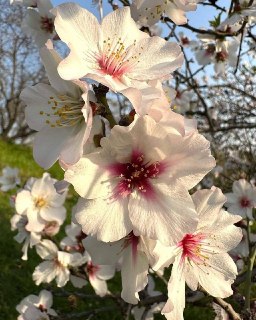 Иллюстрация 2