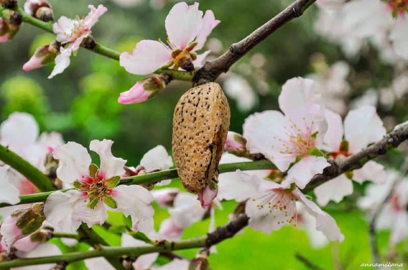 Иллюстрация 3