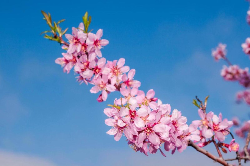 Иллюстрация 4