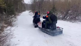 Поиски пропавшей семьи Усольцевых возобновились