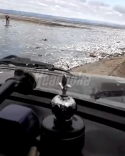 Иллюстрация 1