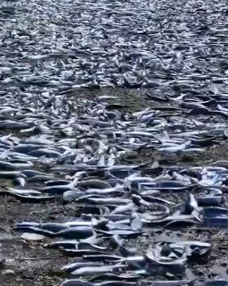 Иллюстрация 2