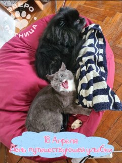 Сегодня улыбка может уехать без вас. И даже не пытайтесь её удержать 😉