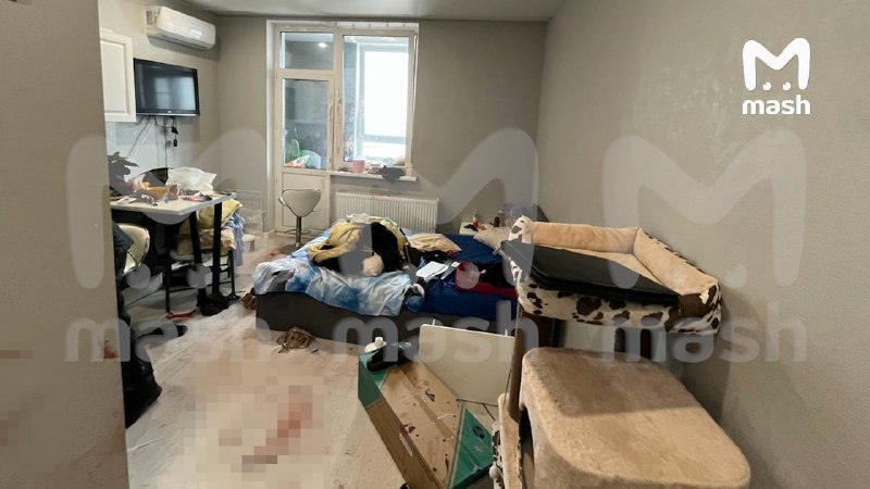 Иллюстрация 1