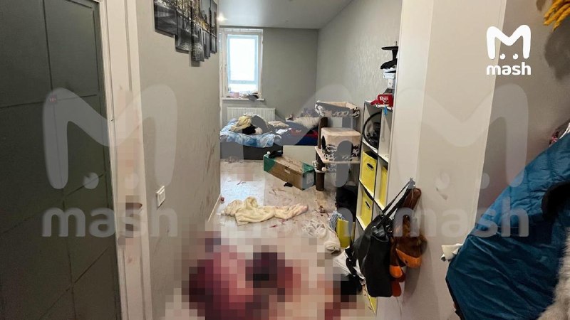 Иллюстрация 4