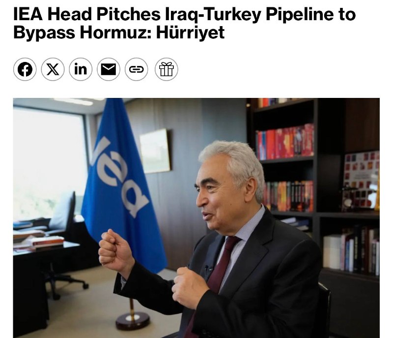 Глава МЭА предложил новый нефтепровод Ирак-Турция в обход Ормуза