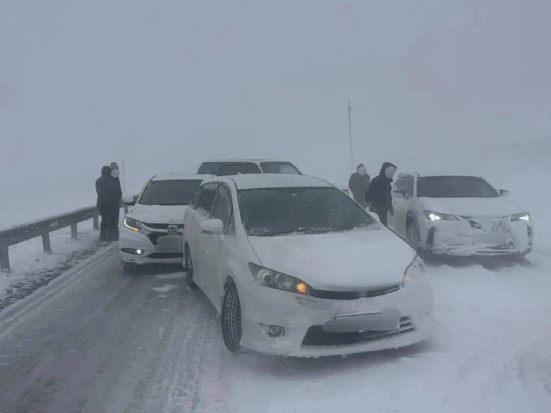 Иллюстрация 2