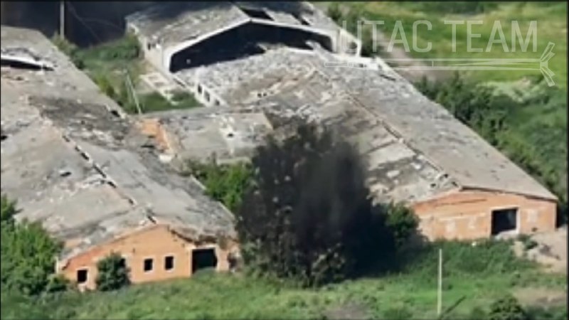 Иллюстрация 3