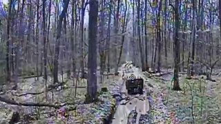 Иллюстрация 1