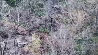 Иллюстрация 2