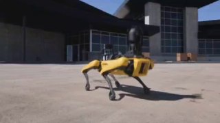 Робособаки для охраны дата-центров в США