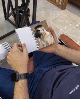 Иллюстрация 2