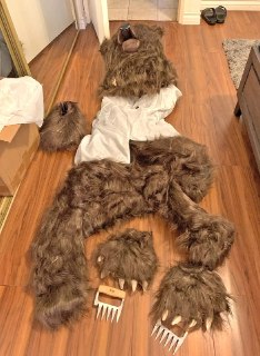 Банда «медвежатников» в Калифорнии приговорена к 6 месяцам за мошенничество со страховкой