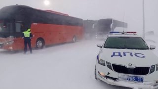 Иллюстрация 1