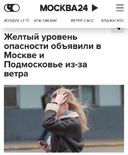 Снегопад и ветер до 15 м/с ожидаются в Москве