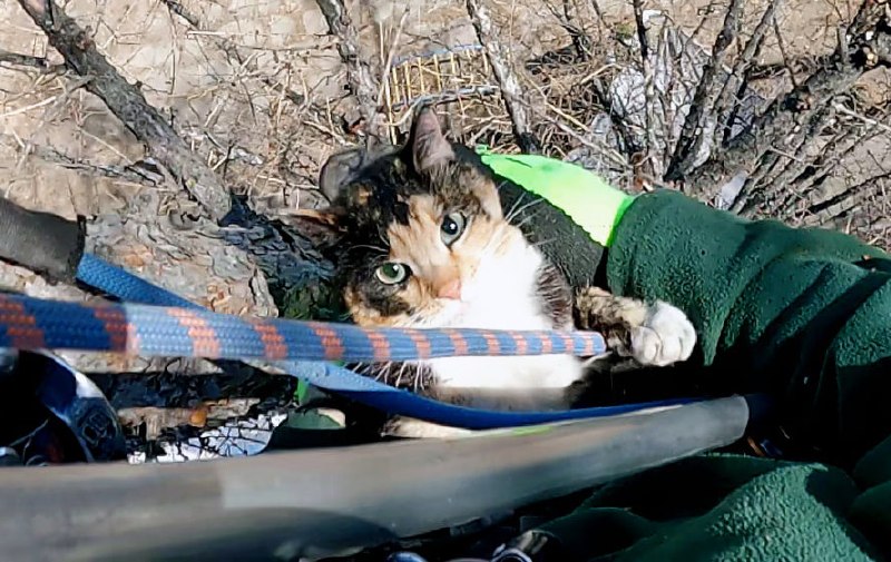 Иллюстрация 2