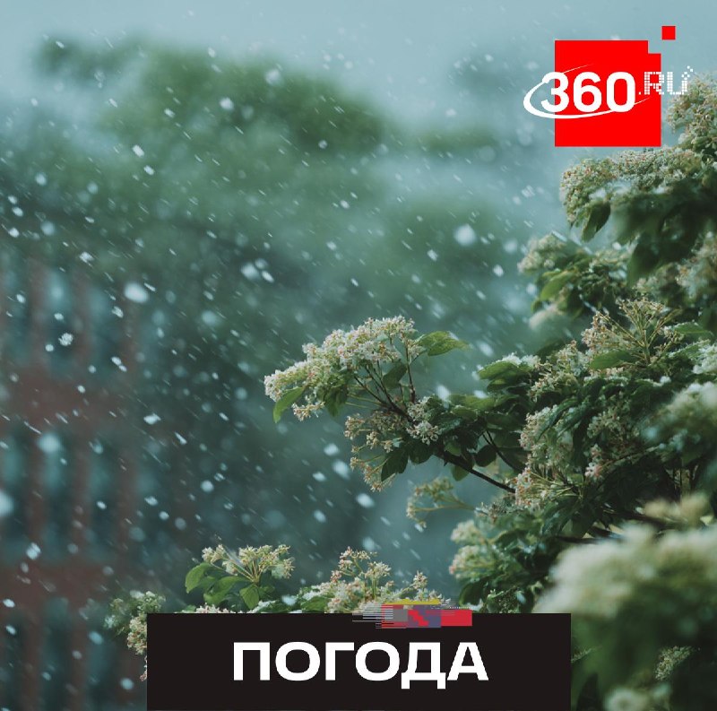 В Подмосковье местами ожидается снег, в Москве серьезных снегопадов не будет