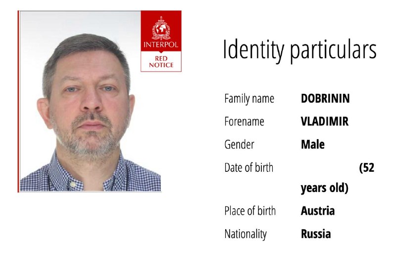 Интерпол объявил в розыск основателя Humans Владимира Добрынина