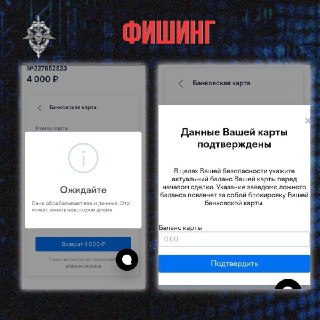 МВД показало фишинговую форму для кражи денег с карт