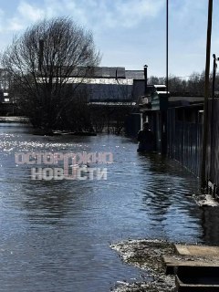 Иллюстрация 5