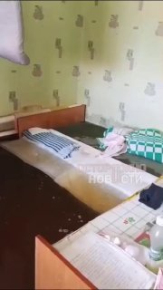 Иллюстрация 7