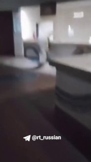 Крокодил устроился в ресторане Зимбабве