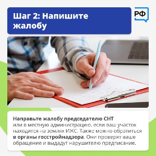 Иллюстрация 7