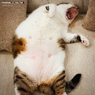 Иллюстрация 4