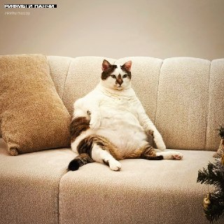 Иллюстрация 5