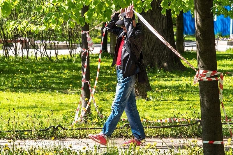 В Петербурге досрочно открыли парки и сады