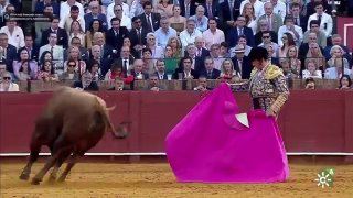 Тореадор получил тяжёлое ранение на корриде в Севилье