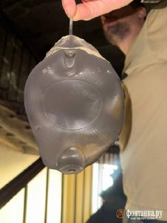 Иллюстрация 4