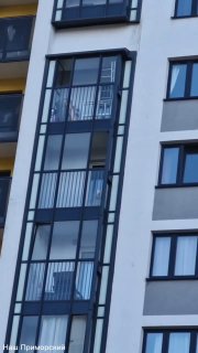 Самоед заперт на балконе в Петербурге: соседи спасают животное, но власти бездействуют