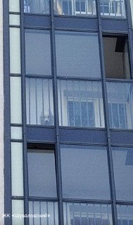 Иллюстрация 1