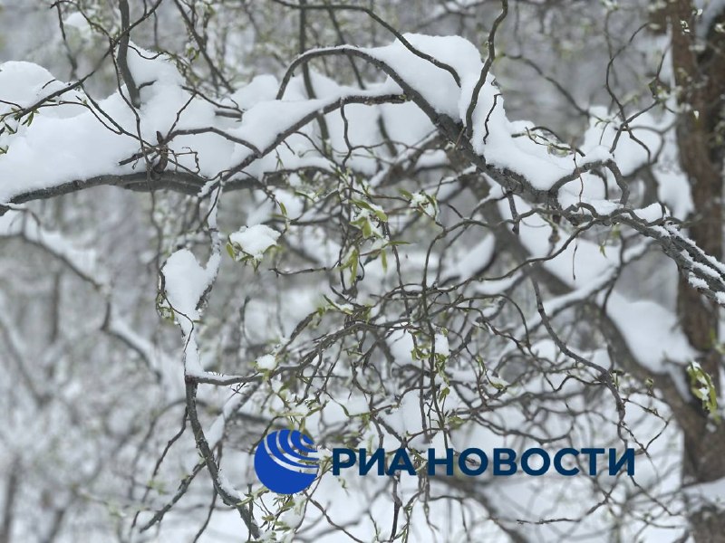 Иллюстрация 3