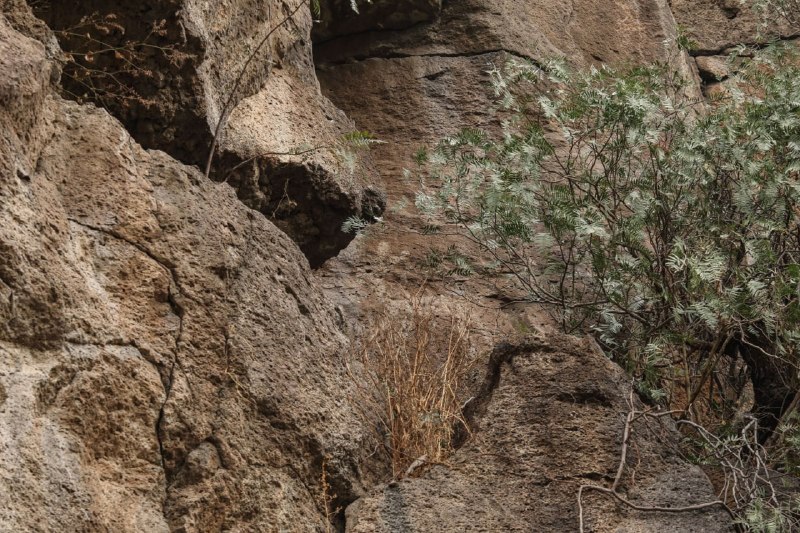 Иллюстрация 2