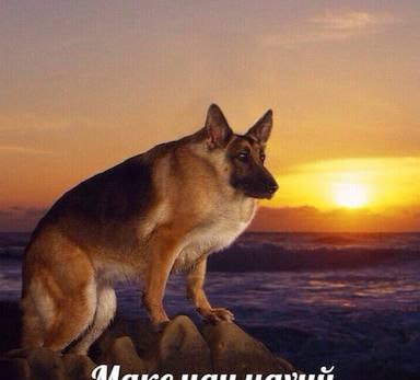 Иллюстрация 1