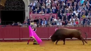 Бык нанес тяжелую травму тореадору на корриде в Севилье