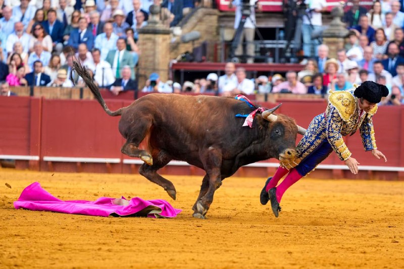 Иллюстрация 2