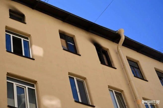 Иллюстрация 3