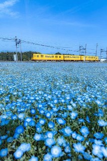 Иллюстрация 2