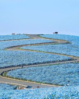 Иллюстрация 3