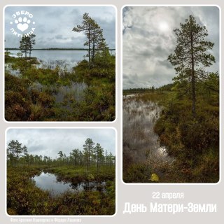 Земля — это то, что всех нас объединяет