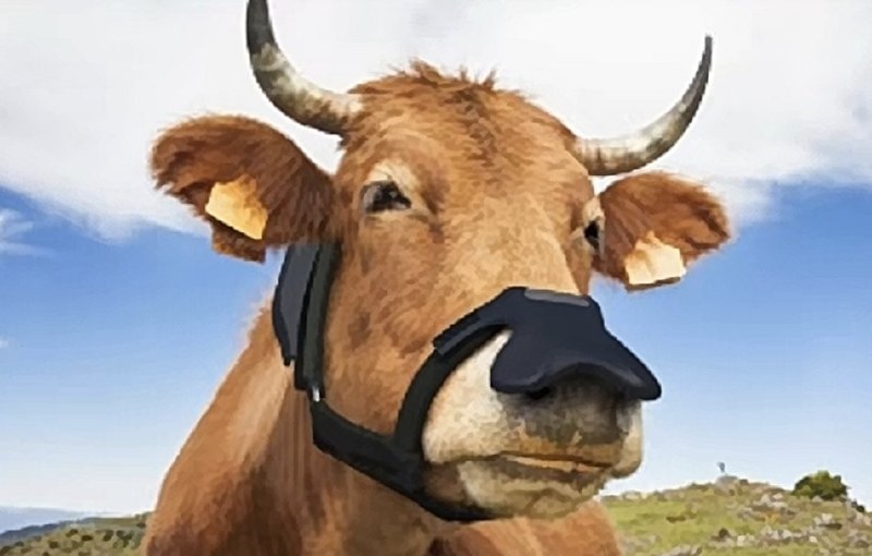 Глава Еврокомиссии предложила использовать маски для коров для борьбы с глобальным потеплением