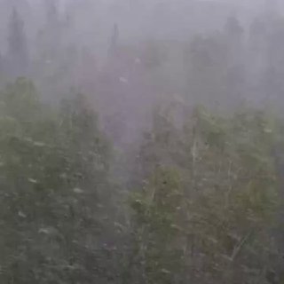 Иллюстрация 3